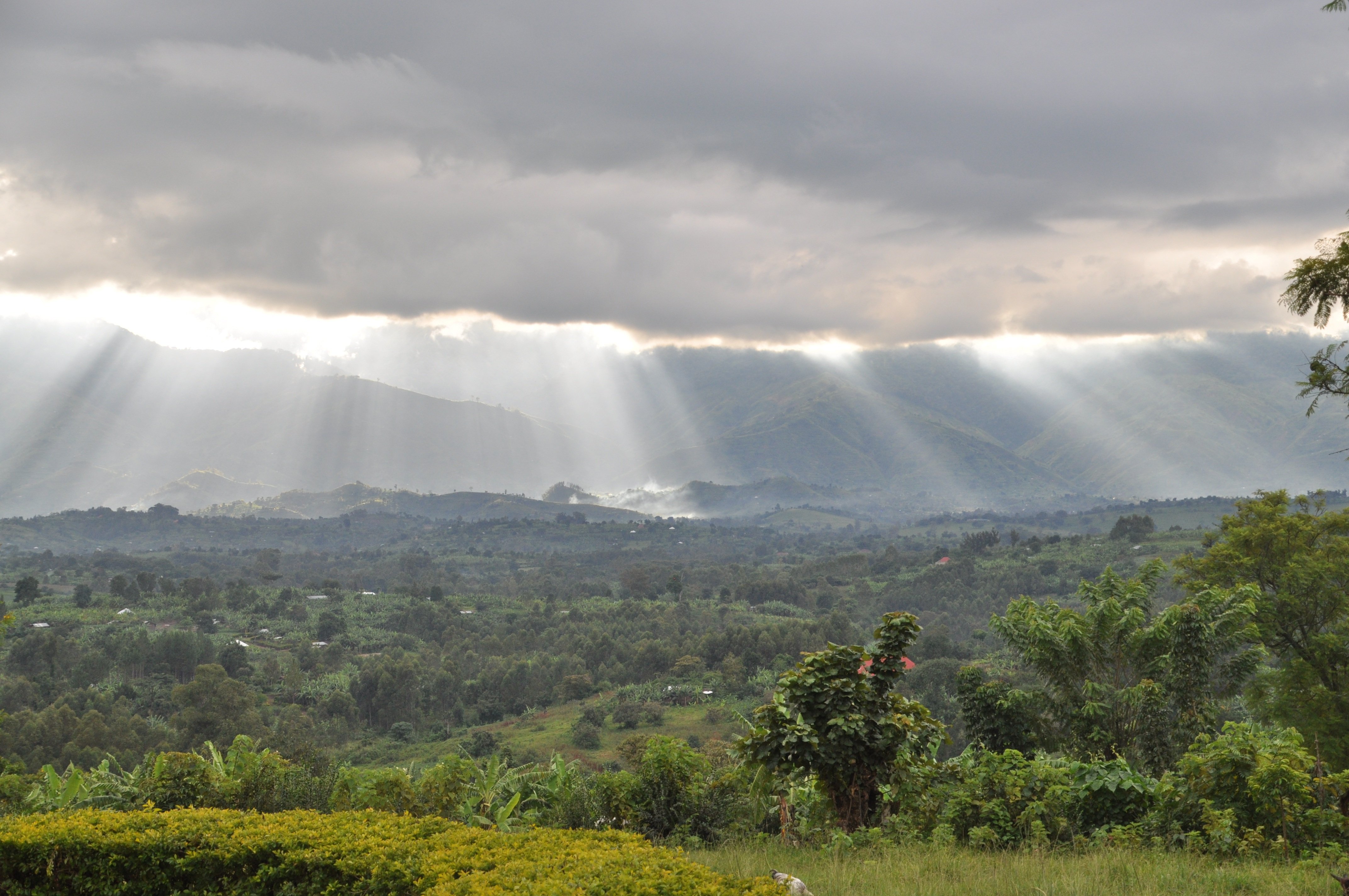 Western Uganda